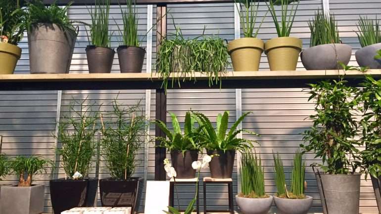 Garten- und Pflanzentrends 2017